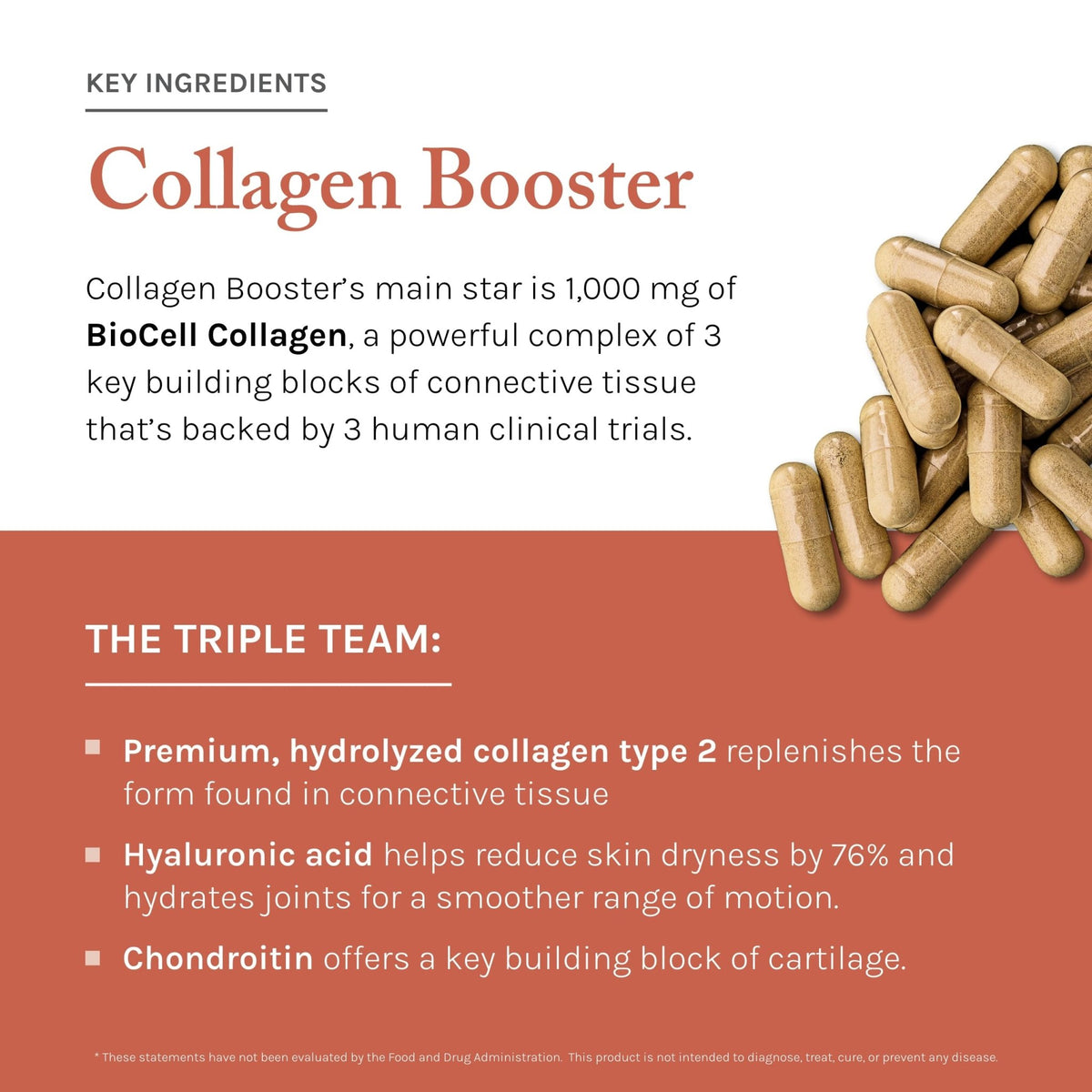 Reserveage Beauty Collagen Booster - Supplement for Skincare & Joint Health - Supports Healthy Collagen Production for Women - 60 Capsules (30 Servings) - FENGGESTORE20