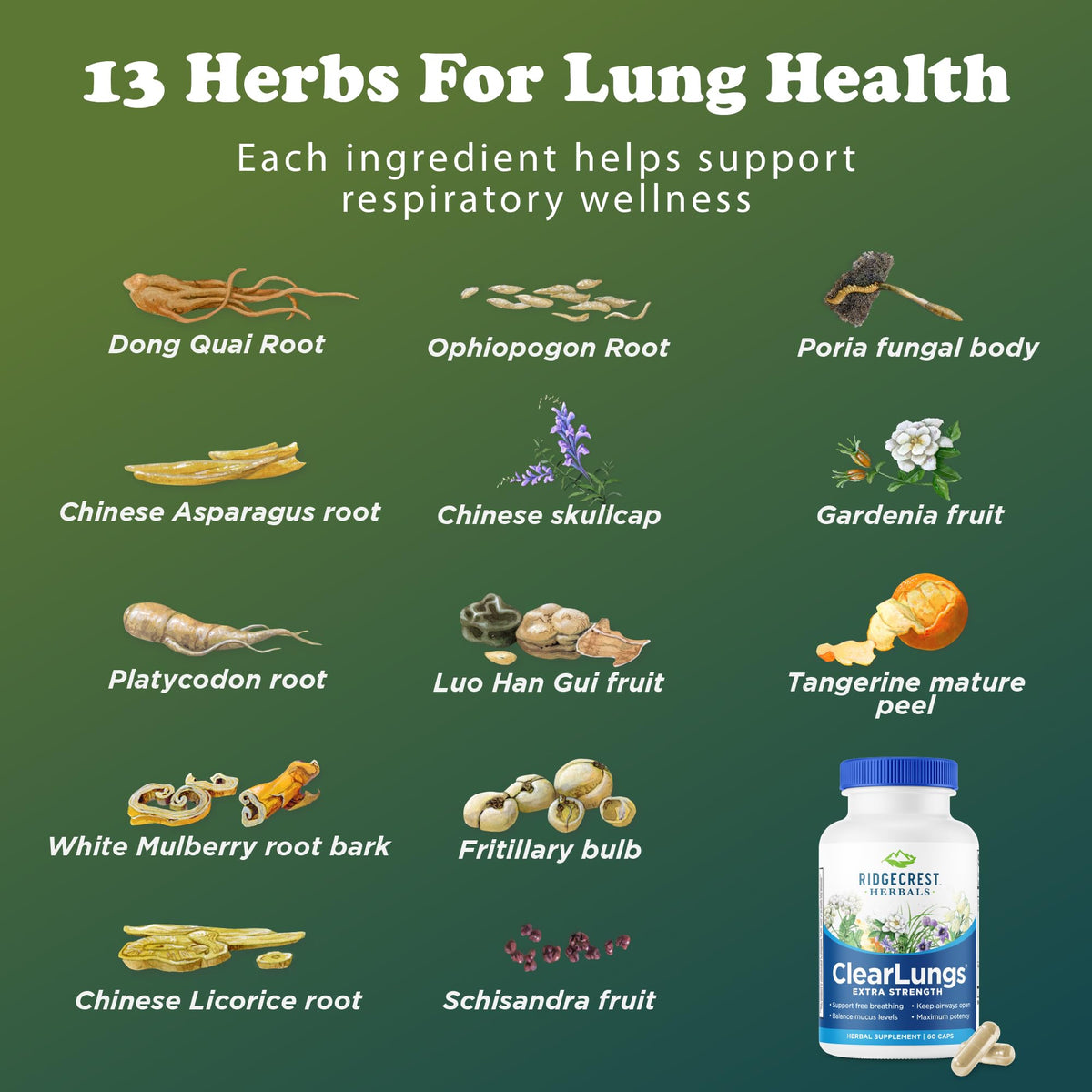 RidgeCrest Herbals ClearLungs Extra Strength, Daily Health Supplement, Natural Lung and Nasal Wellness Formula - FENGGESTORE20