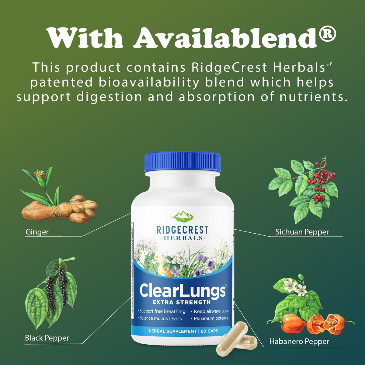 RidgeCrest Herbals ClearLungs Extra Strength, Daily Health Supplement, Natural Lung and Nasal Wellness Formula - FENGGESTORE20