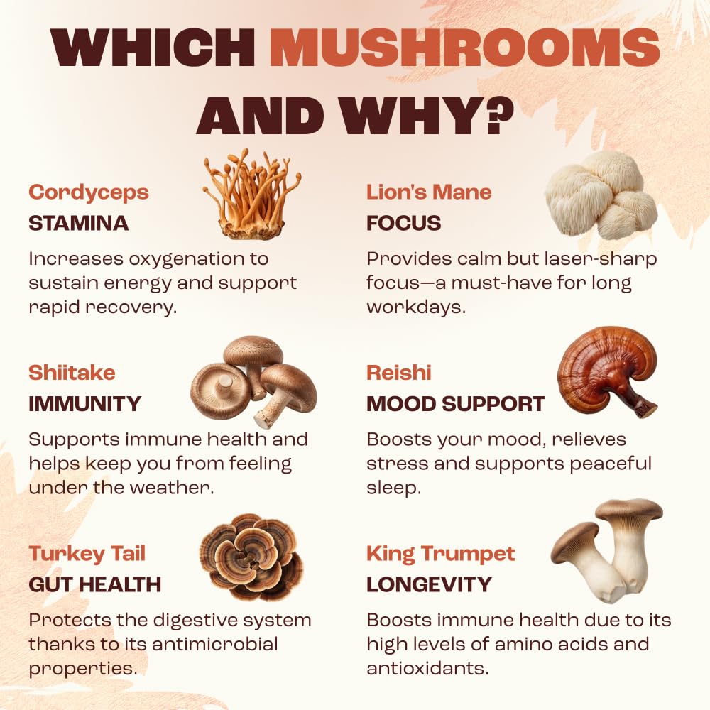 RYZE SUPERFOODS Mushroom Medium Roast Coffee USDA Organic with 6 Adaptogenic Mushrooms, USA Grown Instant Coffee for Better Energy - FENGGESTORE20