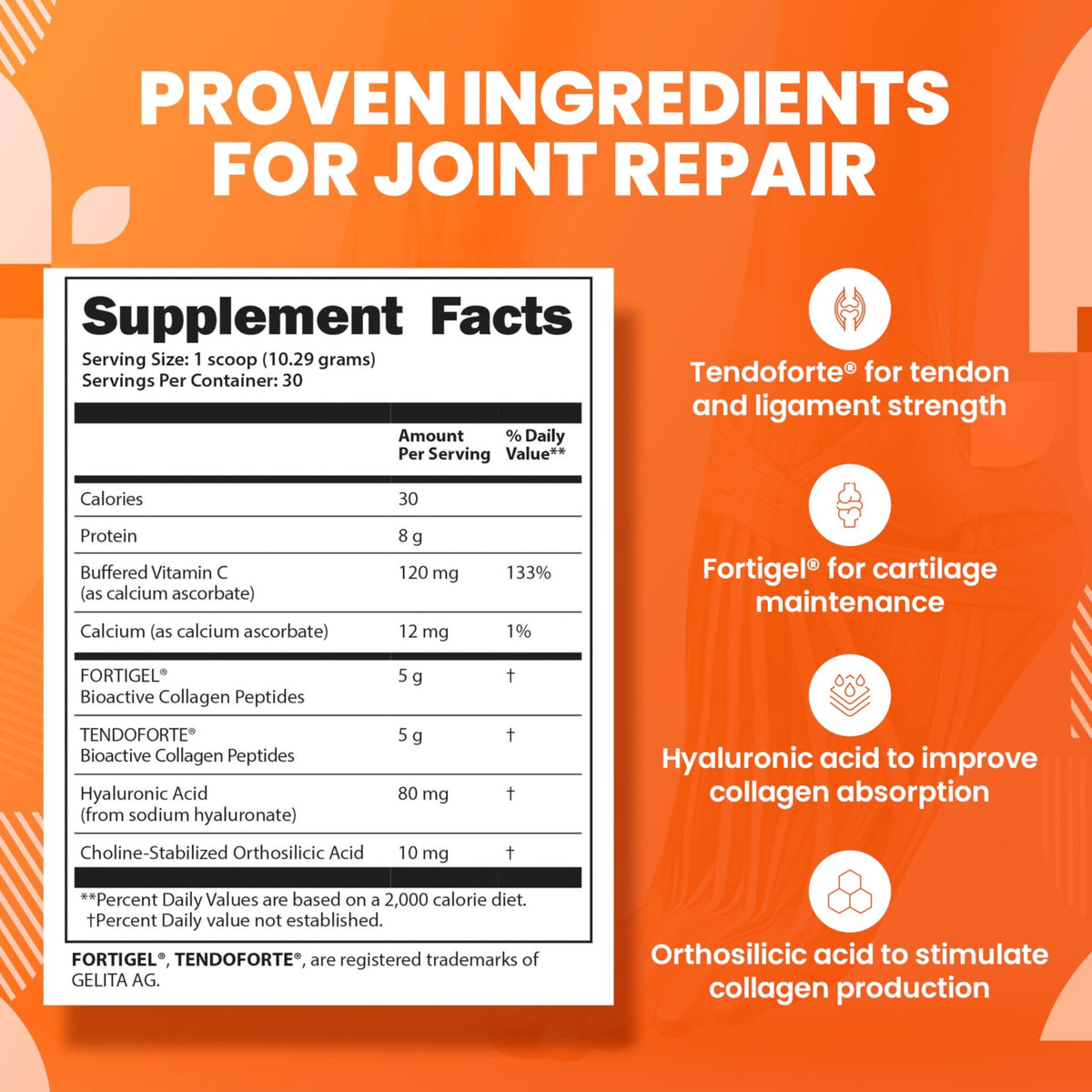 SaltWrap Collagen Synthesis - Collagen Peptides for Joints with Fortigel, Tendoforte, Best Collagen Powder for Tendons, Ligaments - FENGGESTORE20
