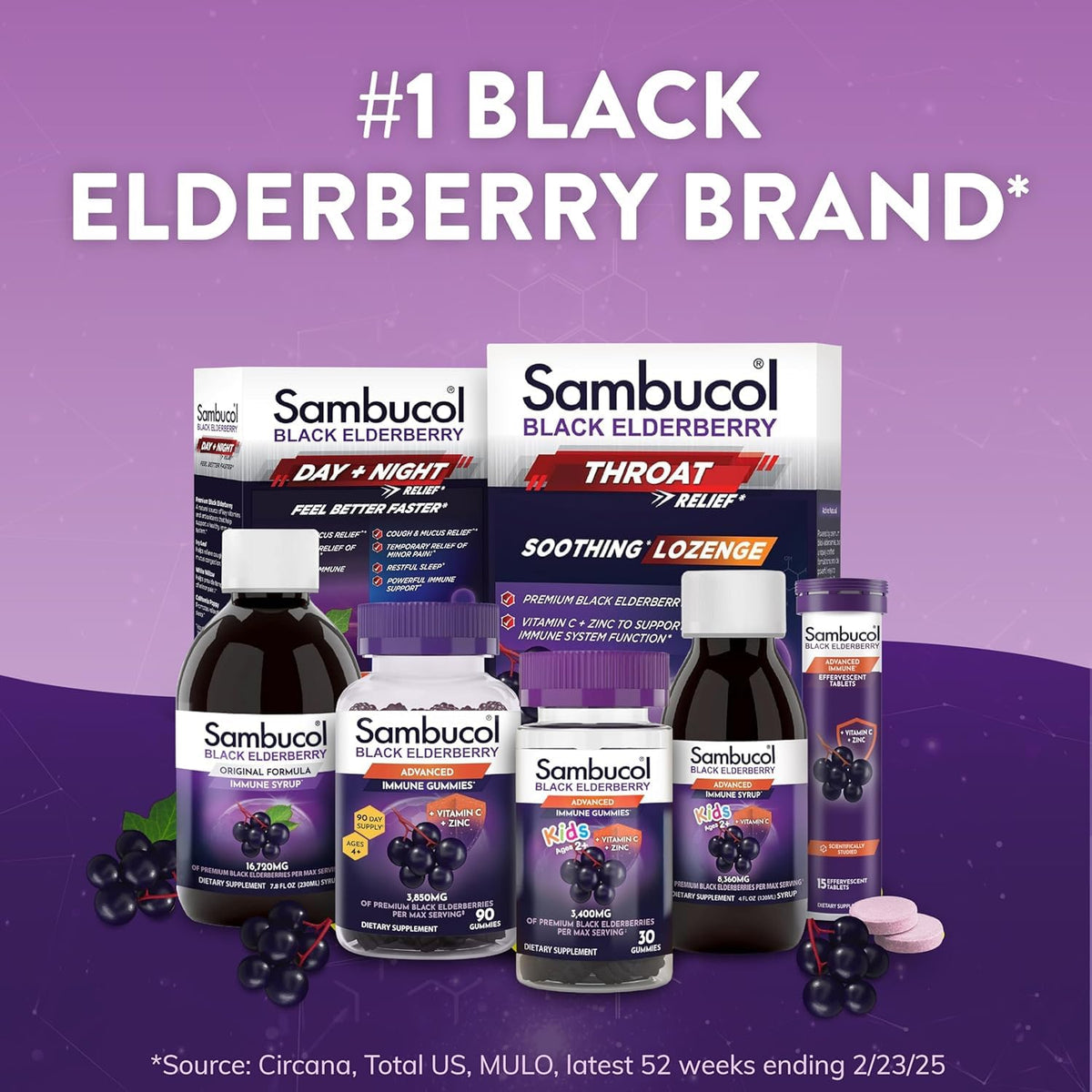 Sambucol Black Elderberry Syrup - Black Elderberry Liquid, Immune Support for Kids and Adults, High Antioxidants, Gluten Free - FENGGESTORE20