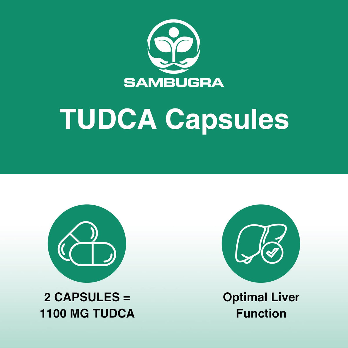 Sambugra TUDCA Liver Supplements 1100mg, 3rd Party Tested Ultra Strength Bile Salt TUDCA Supplement, Liver Support for Detox - FENGGESTORE20