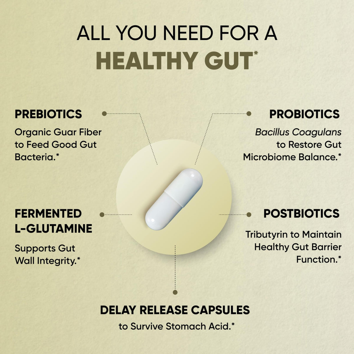 Sandhu's Gut Health - Prebiotic, Probiotic, Postbiotic & L-Glutamine | Digestive Health, Colon, Probiotic Total Supplements | 120 Delayed Release Capsules - FENGGESTORE20