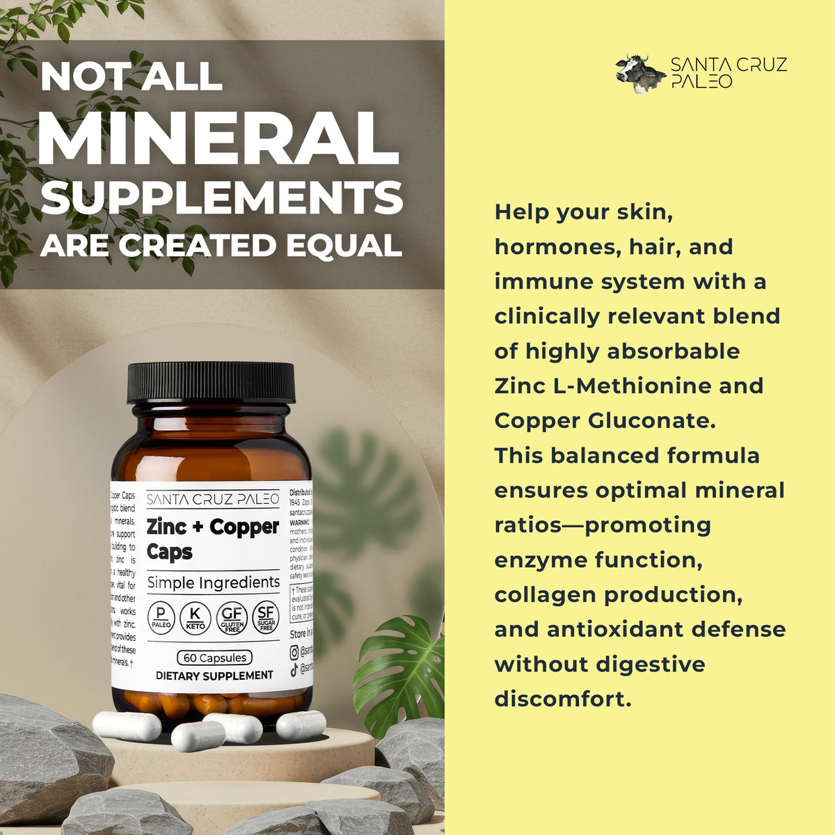 Santa Cruz Paleo, Zinc & Copper Mineral Supplement, High Absorption Formula, Zinc Supplement for Skin & Hair, L Methionine, Copper Gluconate, Trace Minerals - FENGGESTORE20