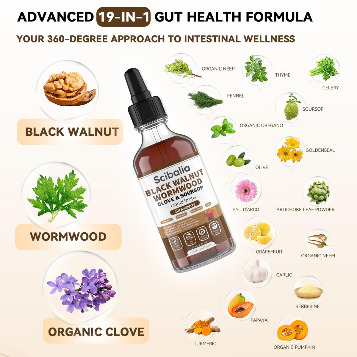 Scibalia Wormwood Black Walnut Clove Cleanse for Human Drops, 19-in-1 Triple-Action Gut Detox & Digestive Wellness Organic Wormwood Tincture w. Soursop - FENGGESTORE20