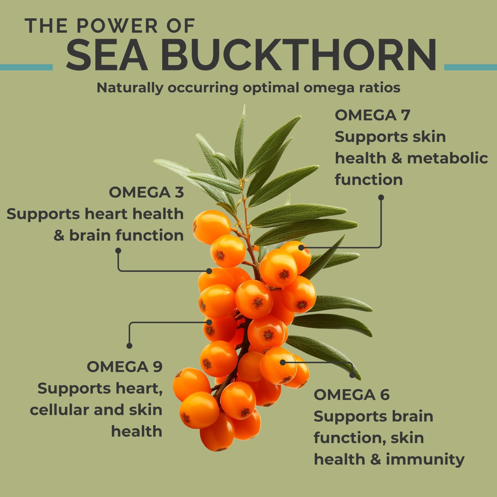 SeabuckWonders Organic Sea Buckthorn Oil Omega-7 Complete,120 Softgels, 60 Day Supply, with Omega 3, 6 & 9, Supports Hair - FENGGESTORE20