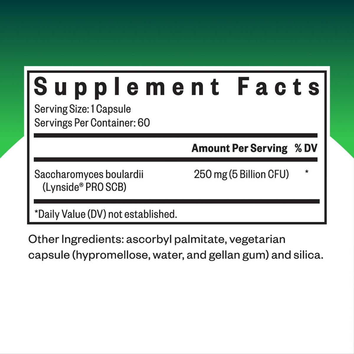 Seeking Health Saccharomyces Boulardii - Gentle Digestive Support for Healthy Bowel Movements* - Supports a Good GI Tract Environment & Microbiome While Traveling* - FENGGESTORE20