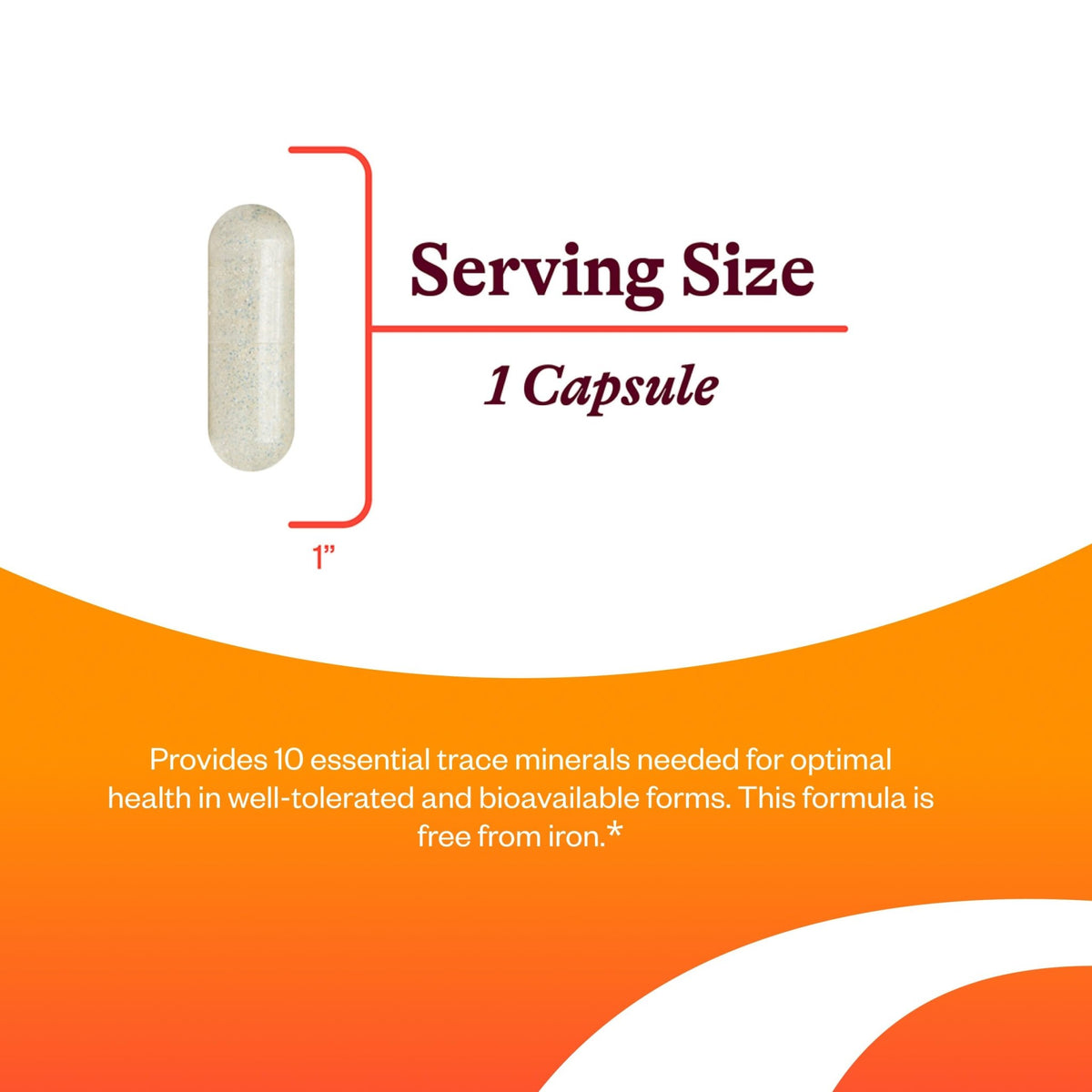 Seeking Health Trace Minerals Complex - Includes 10 Essential Trace Minerals - Mineral Supplement Supports Immune & Nervous System - FENGGESTORE20