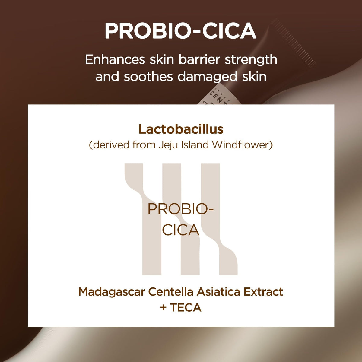 SKIN1004 Centella Probio-Cica Bakuchiol Eye Cream, Korean Eye Cream for Fine Lines with Centella, Hydrating Eye Treatment for Under Eye Area - FENGGESTORE20