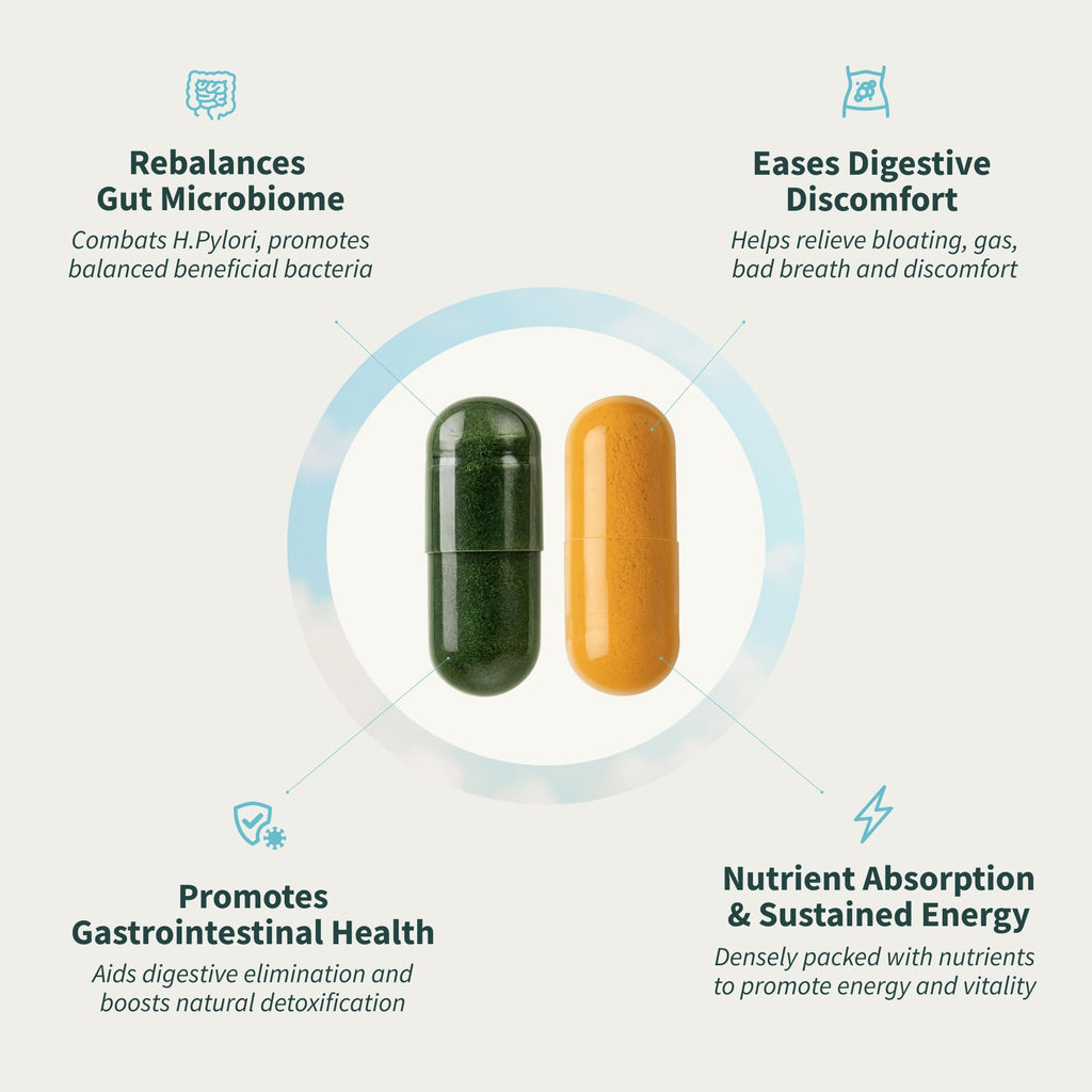 Snap Supplements Gut Health Lipase Supplement & Organic Spirulina Chlorella Bundle–Probiotic + Greens–Supports Digestion, Detox, Energy & Immune Health, 50 - FENGGESTORE20