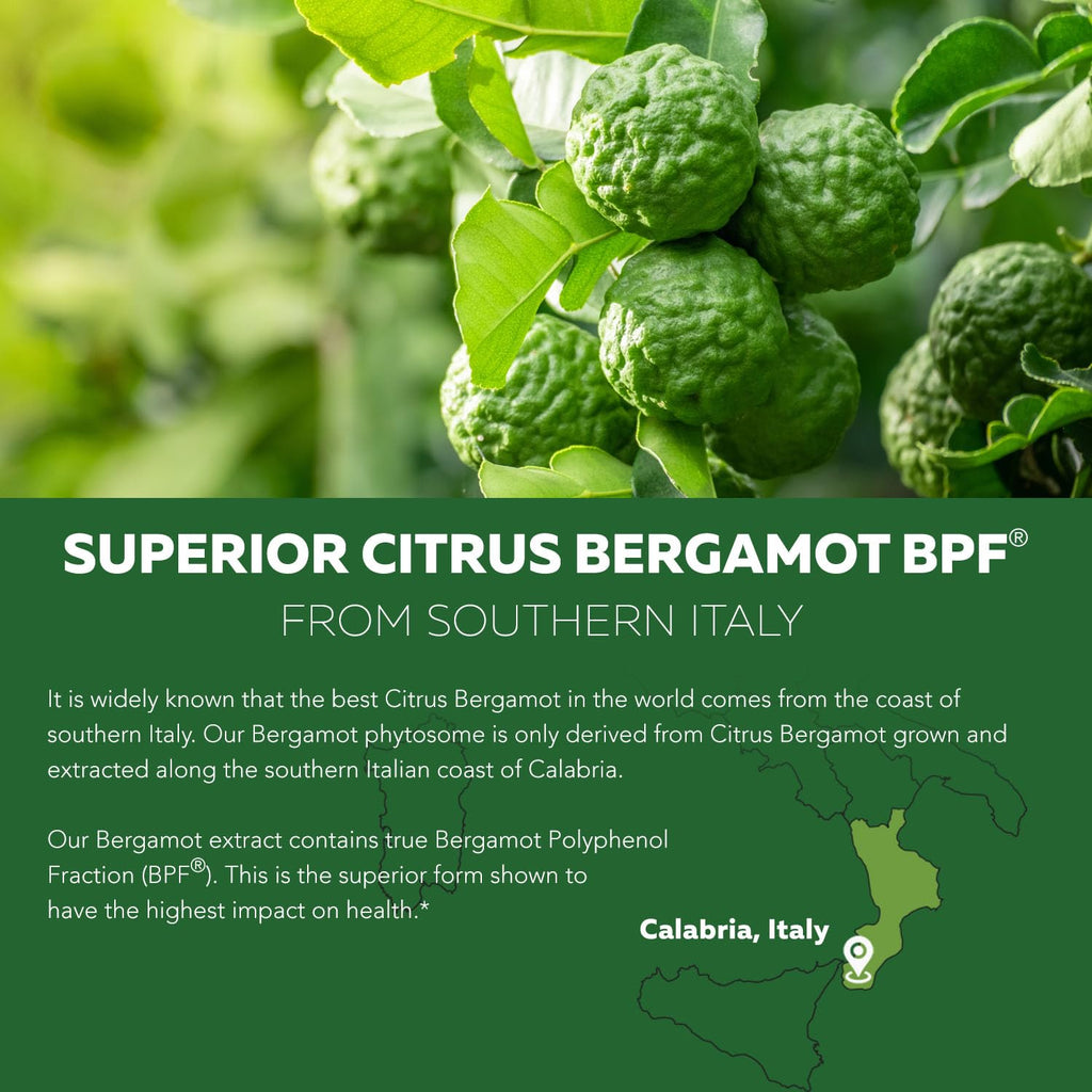SoActive Bergamot: 2.5X More Effective, Italian Citrus Bergamot Phytosome - Clinically Validated | Enhanced with Grape Seed Extract - FENGGESTORE20
