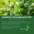 SoActive Bergamot: 2.5X More Effective, Italian Citrus Bergamot Phytosome - Clinically Validated | Enhanced with Grape Seed Extract - FENGGESTORE20