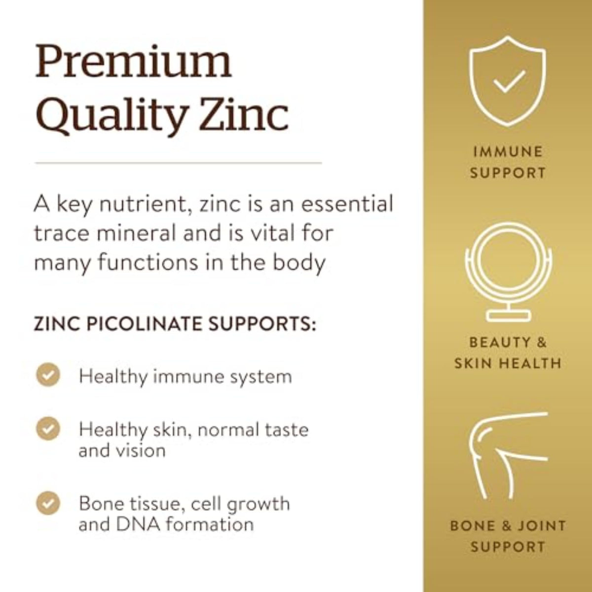 Solgar Zinc Picolinate 22 mg, 100 Tablets - Promotes Healthy Skin - Supports Immune System, Normal Taste & Vision - Antioxidant – Non-GMO, Vegan - FENGGESTORE20