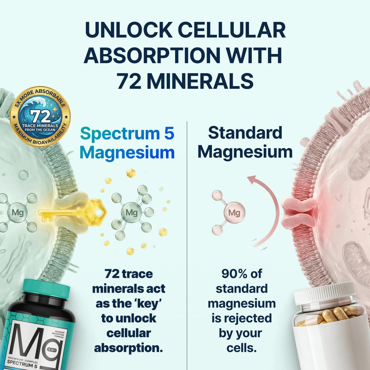 Spectrum 5 Magnesium | 5-in-1 Complex + 72 Trace Minerals for Enhanced Absorption | Irish Sea Sourced | 500mg per Serving | Made in USA, Third Party Tested, GMP Certified - FENGGESTORE20