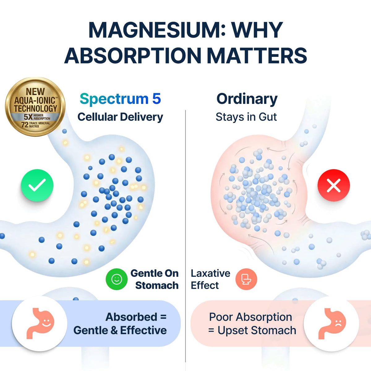 Spectrum 5 Magnesium | 5-in-1 Complex + 72 Trace Minerals for Enhanced Absorption | Irish Sea Sourced | 500mg per Serving | Made in USA, Third Party Tested, GMP Certified - FENGGESTORE20