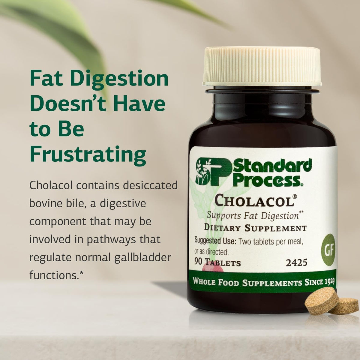 Standard Process Inc. Cholacol - Gallbladder Support Supplement - Fat Digestion Supplement for Digestive Health & Bile Support - FENGGESTORE20