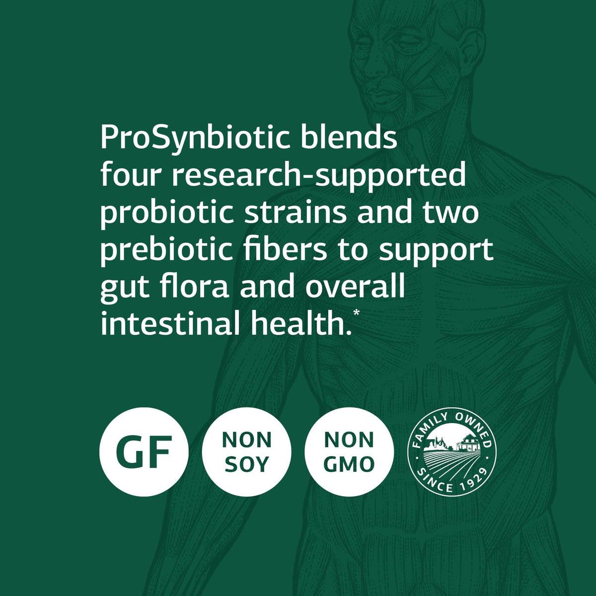 Standard Process ProSynbiotic - Whole Food Bowel, Immune Support, Digestion and Digestive Health with Bifidobacterium, Chicory Root, Lactobacillus Acidophilus, and Inulin - Vegetarian - 90 Capsules - FENGGESTORE20