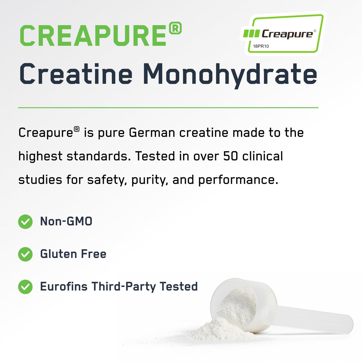 SteelFit Creapure Creatine Monohydrate Powder, Unflavored - German Micronized Creatine Powder for Men & Women - Gym Workout Nutritional Supplements for Muscle Gain - FENGGESTORE20