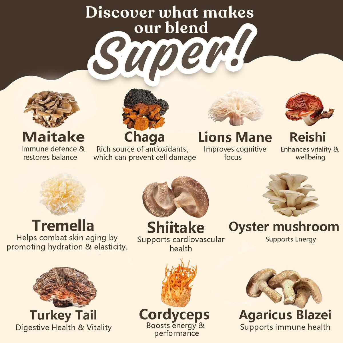 Suiyilary 10 Mushroom Coffee with Arabica w, Lion's Mane, Reishi, Mushroom Polysaccharides & More, Instant Mushrooms Powder for Focus, Immunity Boost, - FENGGESTORE20