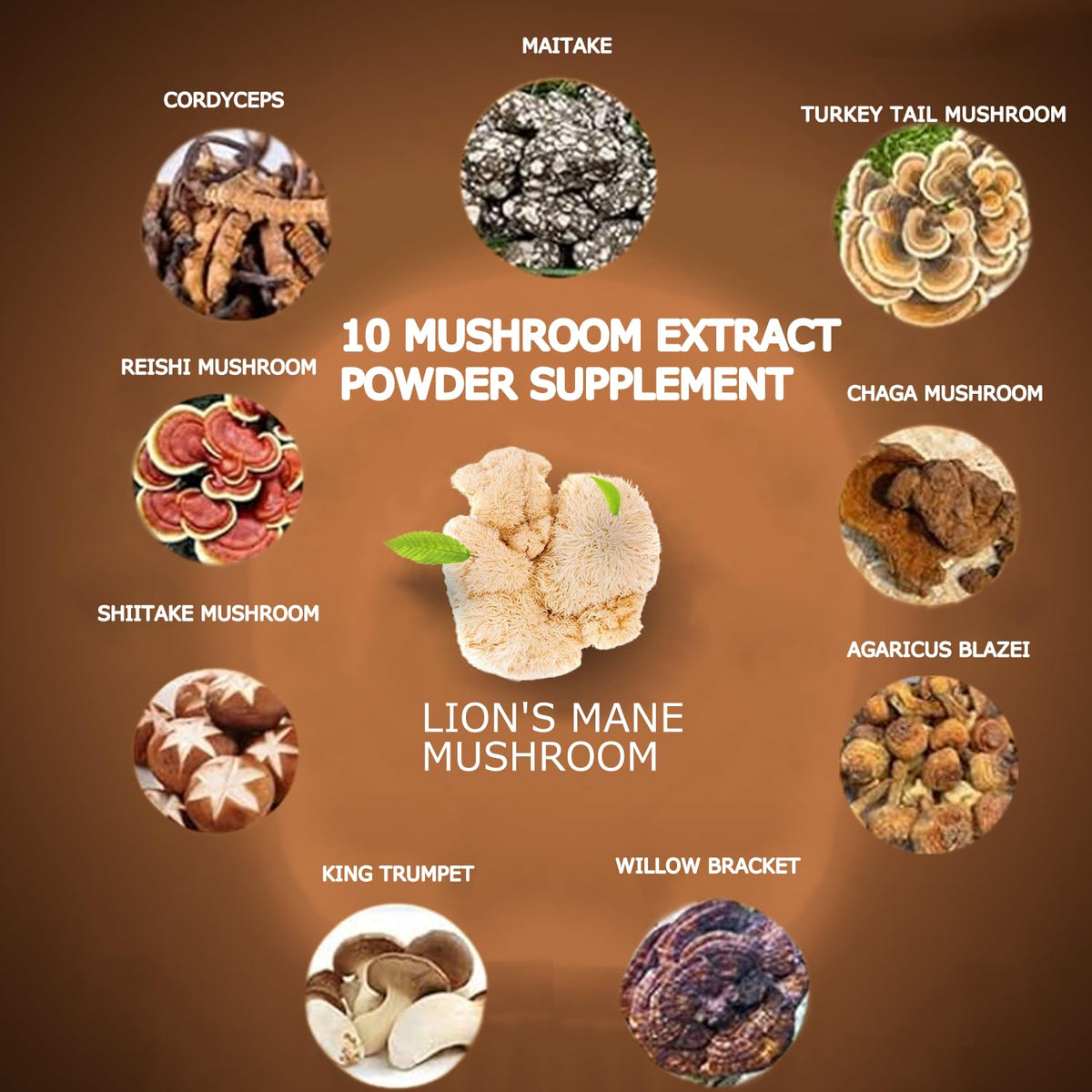 Suiyilary Mushroom Coffee, 10 Mushroom Extract Powder Blend Lion's Mane, Reishi, Chaga - FENGGESTORE20