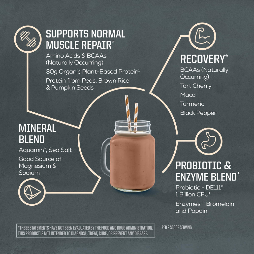 Sunwarrior Organic Plant Based Protein Powder | Vegan Organic Protein Powder with BCAA Amino Acids Plus Recovery Minerals & Botanicals | Non-GMO Soy Dairy & Gluten Free - FENGGESTORE20