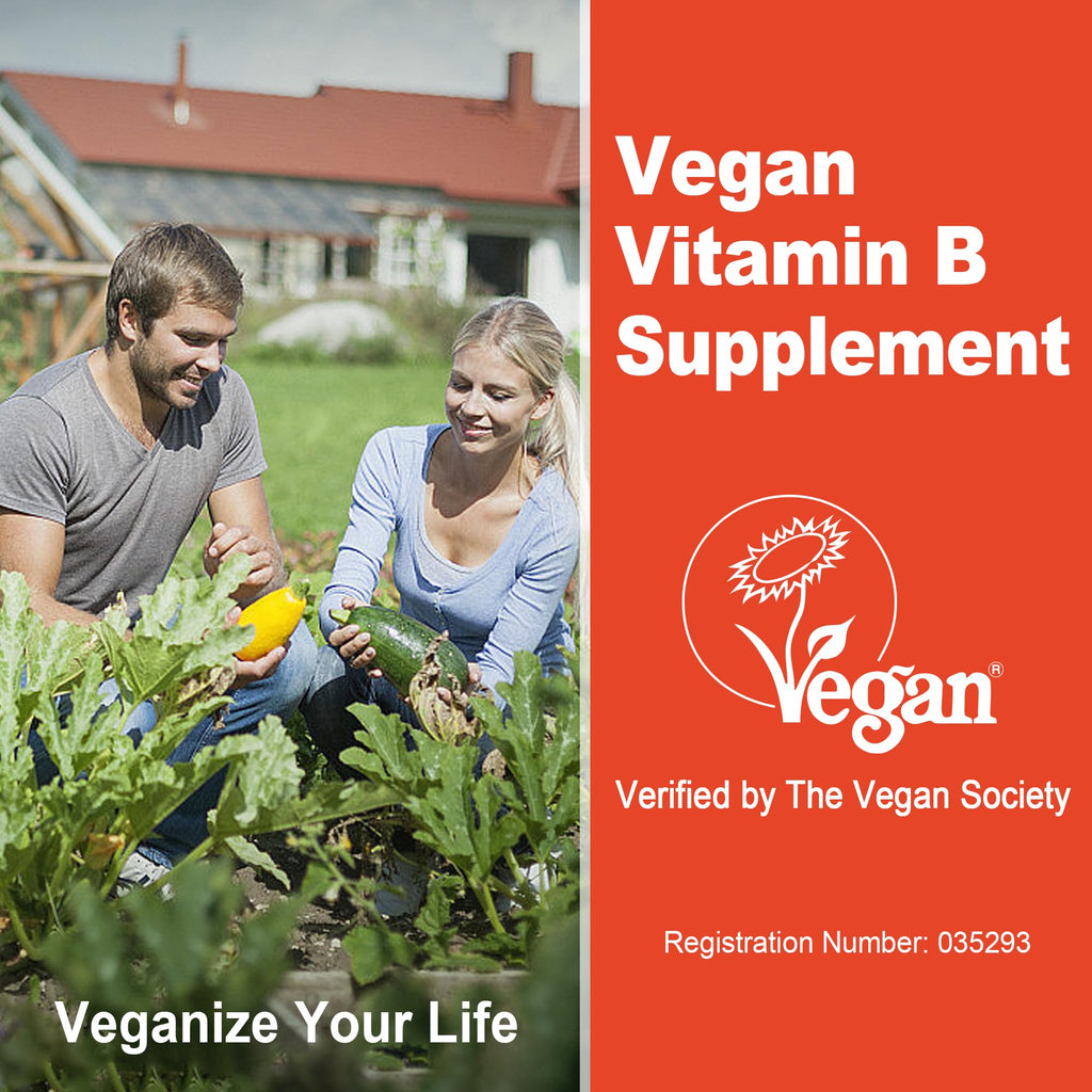 Super Methylated Vitamin B Complex Gummies - All B Vitamins + Omega-3, Magnesium, CoQ10, Ashwagandha,Vitamin C, TMG- For Women Men- Methyl B12 2000 mcg, Methylfolate - FENGGESTORE20