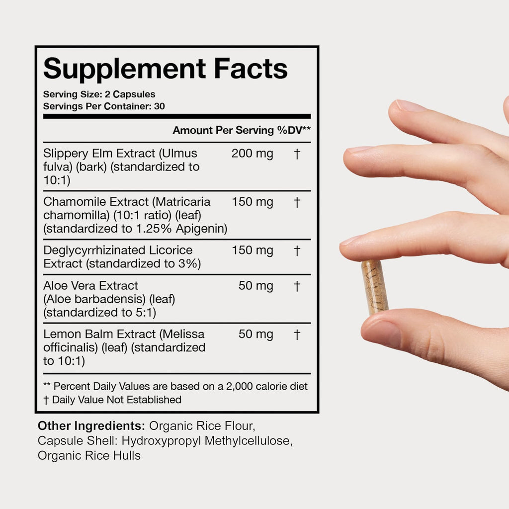 Terra Health Essentials Acid Relief - Plant Based Digestive Support Supplement for Comfortable Gut Function - Lemon Balm, Slippery Elm, Aloe Vera, DGL Licorice - 60 Capsules - FENGGESTORE20
