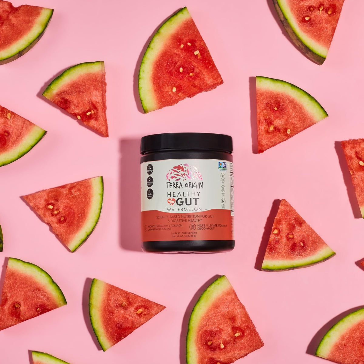 TERRA ORIGIN Healthy Gut Watermelon | 30-Servings with L-Glutamine, Zinc, Glucosamine, Slippery Elm Bark, Marshmallow Root and More! - FENGGESTORE20