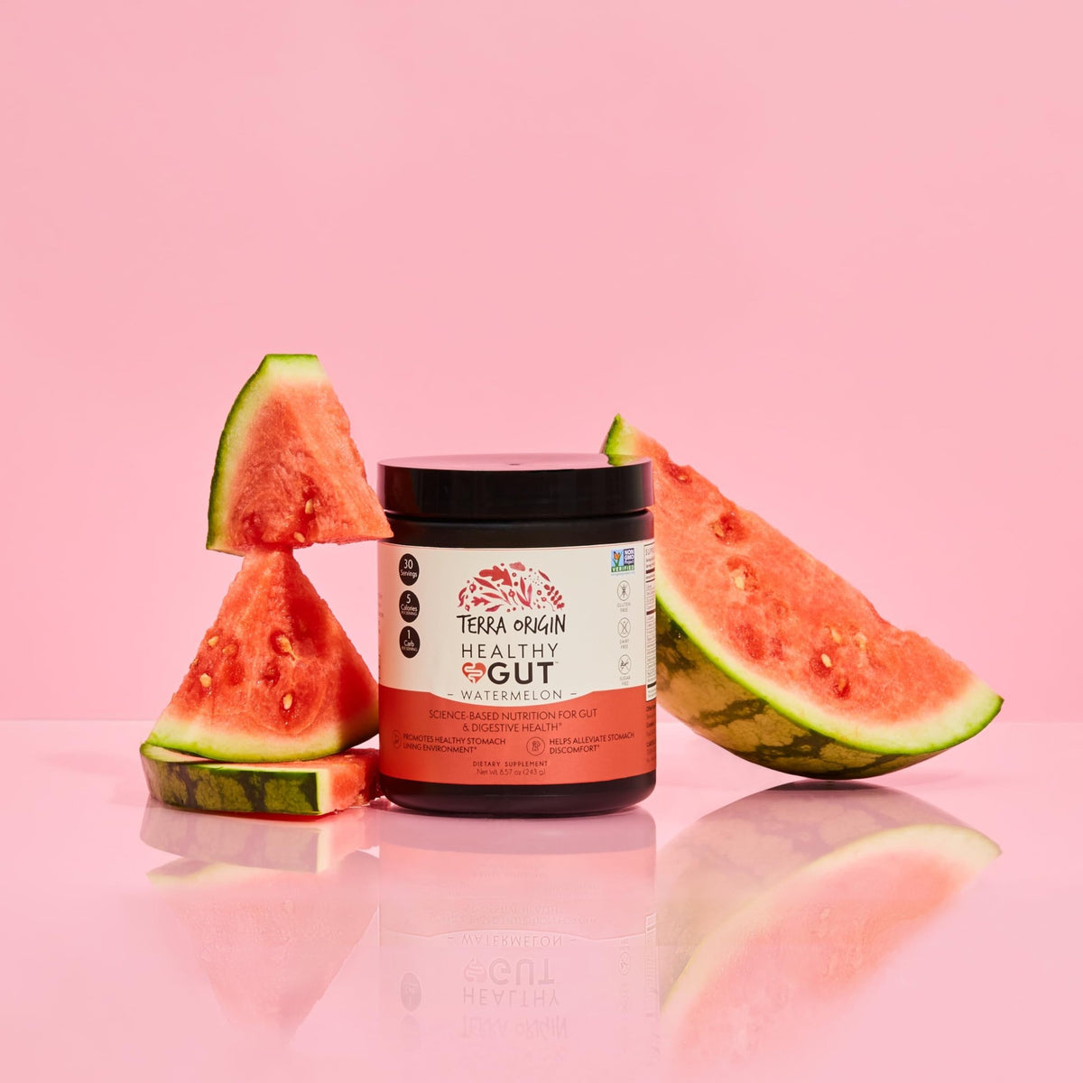 TERRA ORIGIN Healthy Gut Watermelon | 30-Servings with L-Glutamine, Zinc, Glucosamine, Slippery Elm Bark, Marshmallow Root and More! - FENGGESTORE20