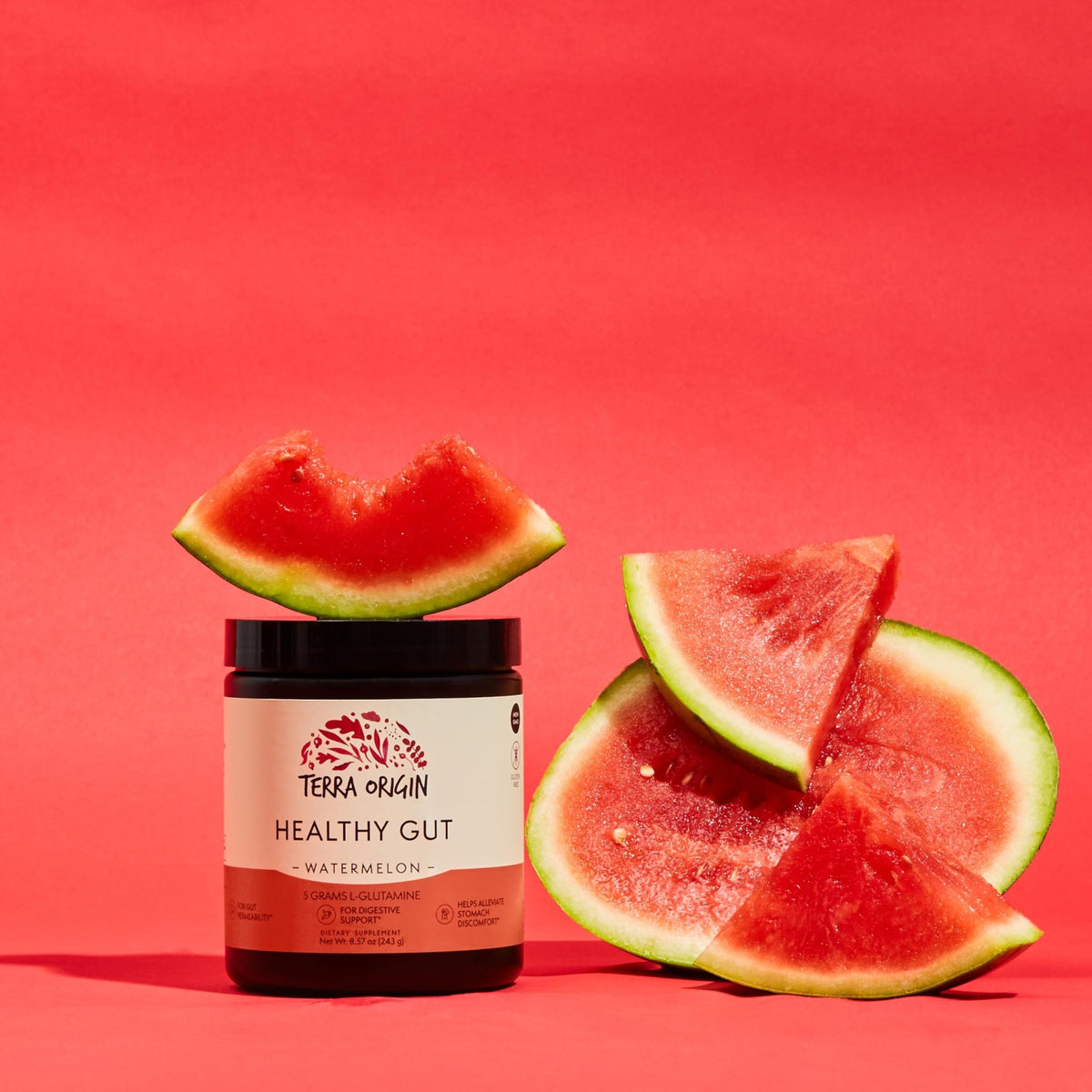 TERRA ORIGIN Healthy Gut Watermelon | 30-Servings with L-Glutamine, Zinc, Glucosamine, Slippery Elm Bark, Marshmallow Root and More! - FENGGESTORE20
