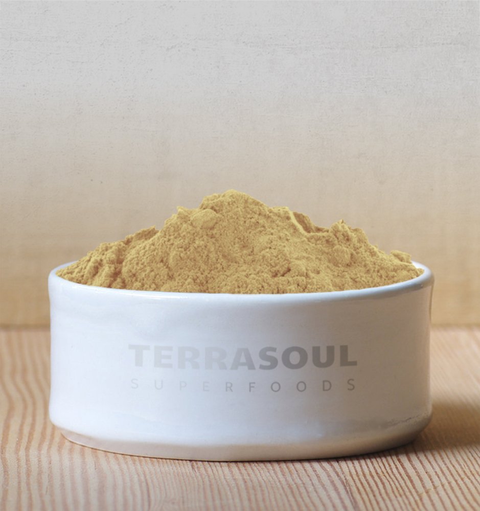 Terrasoul Superfoods Organic Amla Berry Powder (Amalaki), 16 Oz - Rich in Antioxidant Vitamin C | Supports Immunity - FENGGESTORE20