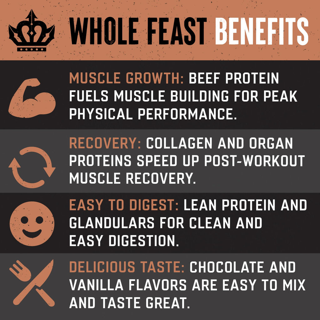 The Fittest Whole Feast Beef Protein Powder - Milk Chocolate - Grass Fed Nose to Tail Carnivore Blend Including Liver, Colostrum and Whole Bone - BCAAs - 14g Collagen, 21g Total Protein - FENGGESTORE20