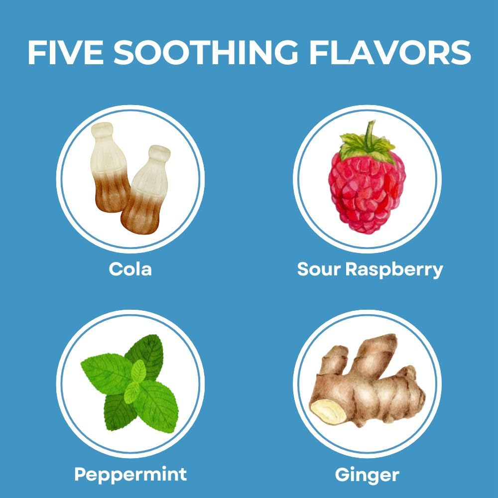 Three Lollies Queasy Drops- Supports Motion Sickness Relief. Also Pregnancy & Morning Sickness Relief. Stomach Settle Drops Assorted 48 Count - FENGGESTORE20