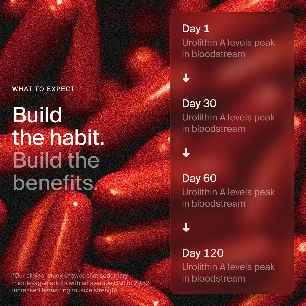 Timeline Mitopure Urolithin A Supplement Softgels - Clinically Proven Support for Healthy Aging and Cellular Renewal - FENGGESTORE20