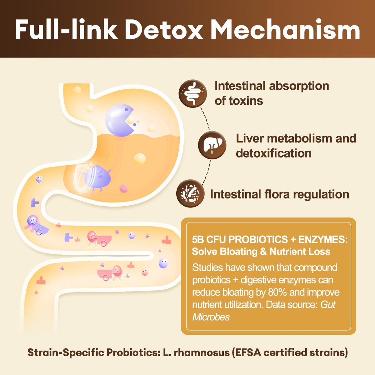 Totaria 2000MG All-in-1 Detox Binder, Activated Charcoal, Zeolite, Bentonite Clay, Alpha Lipoic Acid, 7-Layer Detox & Cleanse Supplement - FENGGESTORE20