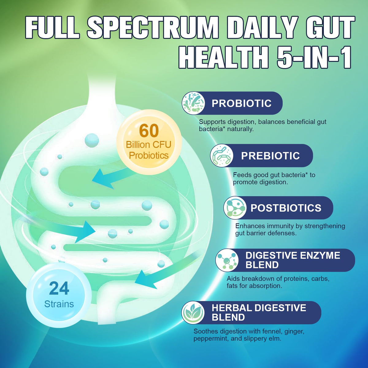 Totaria 5-in-1 60 Billion CFU Probiotic Prebiotic & Postbiotic for Women & Men, w/Digestive Enzymes, Slippery Elm, Daily Complete Gut Health, - FENGGESTORE20