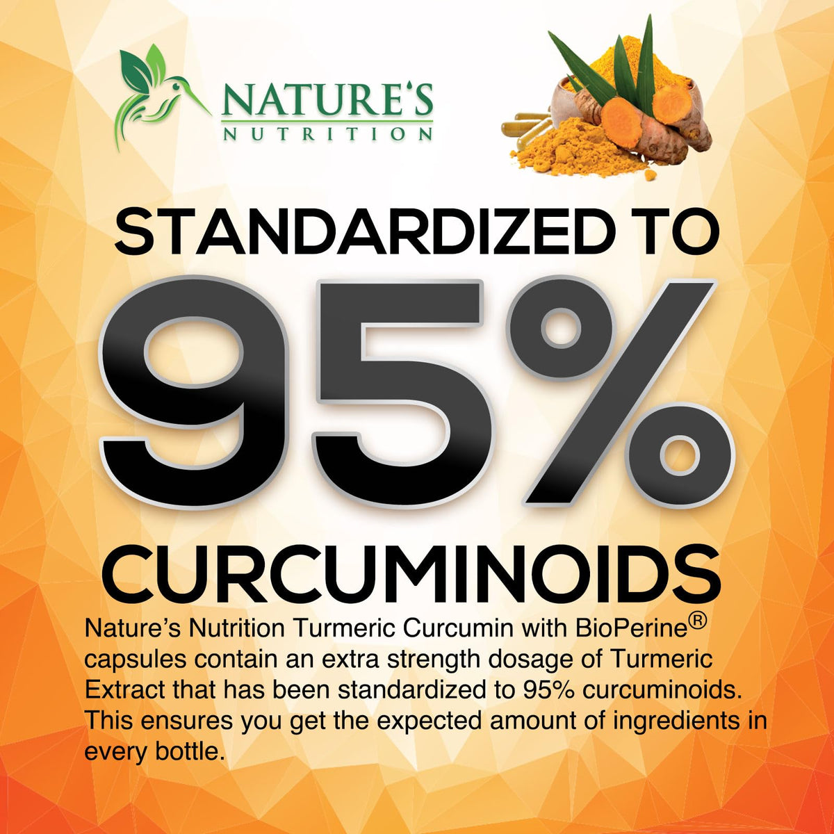 Turmeric Curcumin Supplement - 2400mg Organic Turmeric Per Serving - 95% Curcuminoids & BioPerine Black Pepper Extract for Best Absorption - Natural Vegan Joint Support - FENGGESTORE20