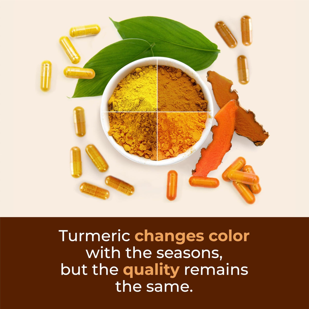 Turmeric with Black Pepper - High Potency Organic 1200mg Turmeric Curcumin Supplement for Joint Support & Digestive Health - Curcumin with Black Pepper - FENGGESTORE20