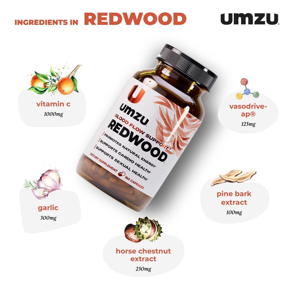 UMZU Redwood Nitric Oxide Booster, (30 Day Supply) – Vitamin C, Garlic & Horse Chestnut – Healthy Circulation & Endurance – Daily Cardiovascular Support Nitric Oxide - FENGGESTORE20