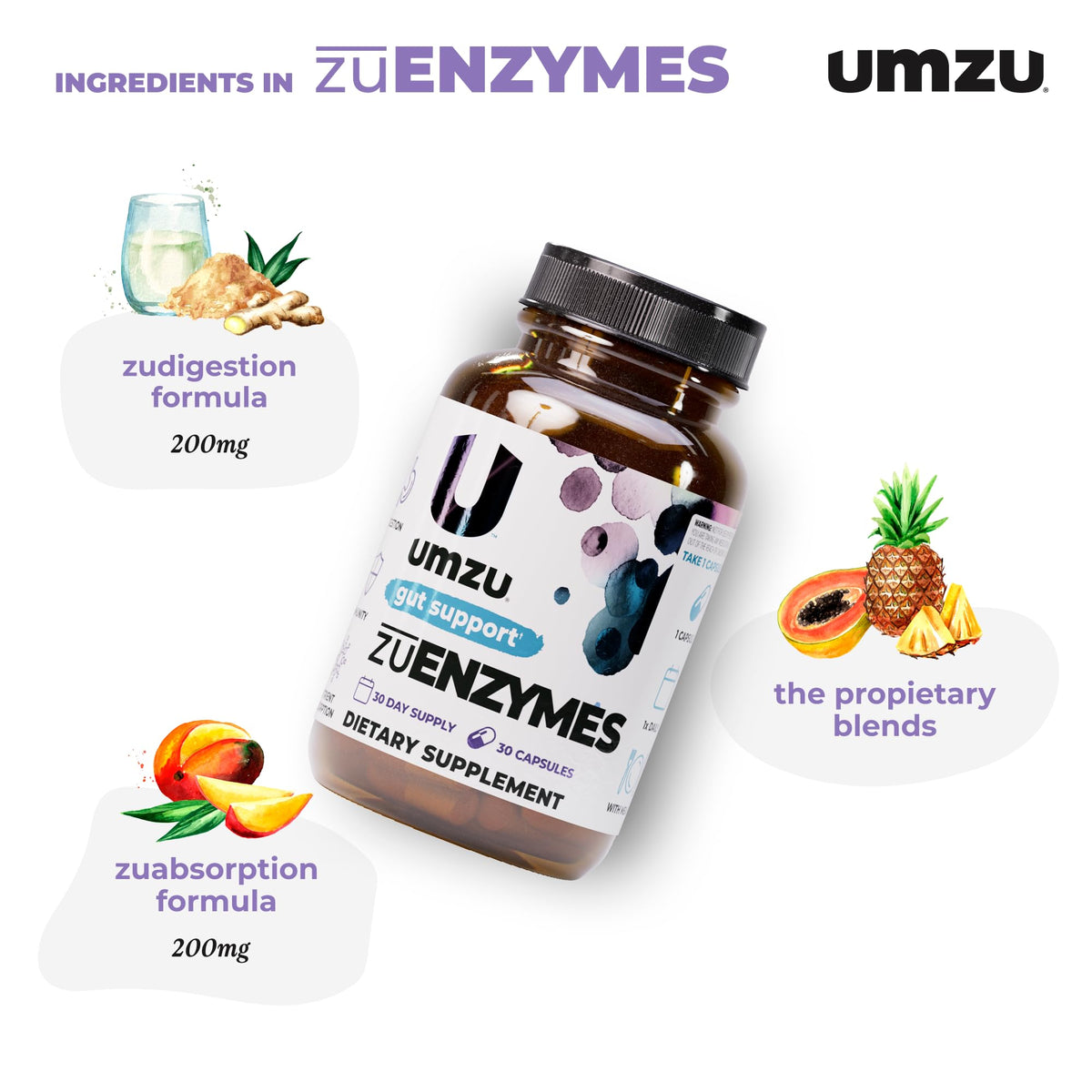 UMZU zuEnzymes Digestive Support Supplement, (30 Day Supply) – 21 Enzyme Blend with Lipase Protease & Amylase – Digestive Enzymes for Gut Health & Probiotic Daily - FENGGESTORE20