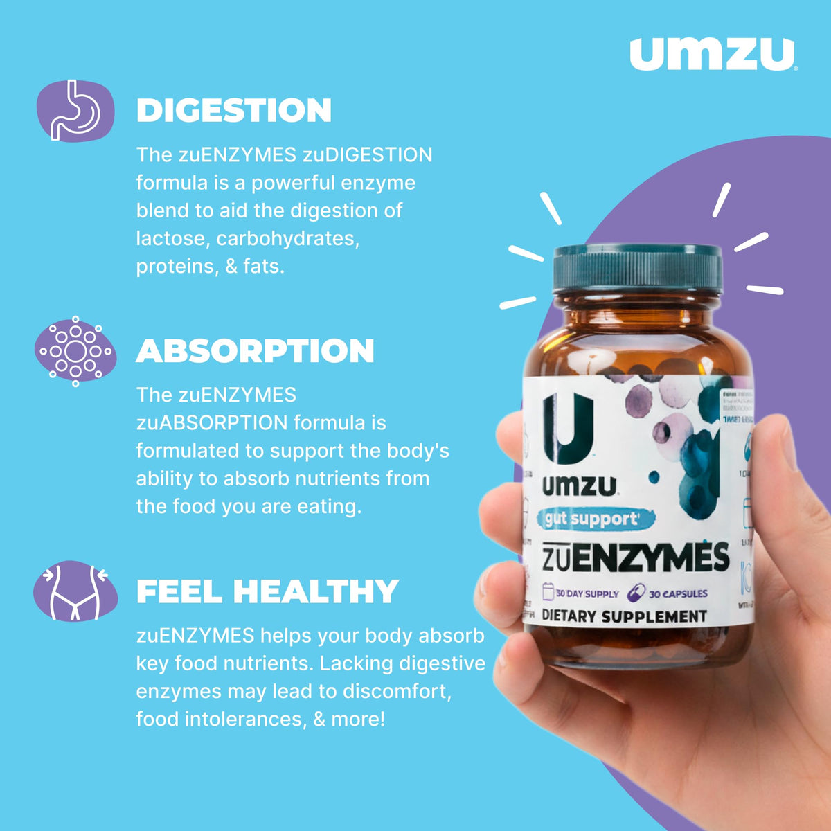 UMZU zuEnzymes Digestive Support Supplement, (30 Day Supply) – 21 Enzyme Blend with Lipase Protease & Amylase – Digestive Enzymes for Gut Health & Probiotic Daily - FENGGESTORE20