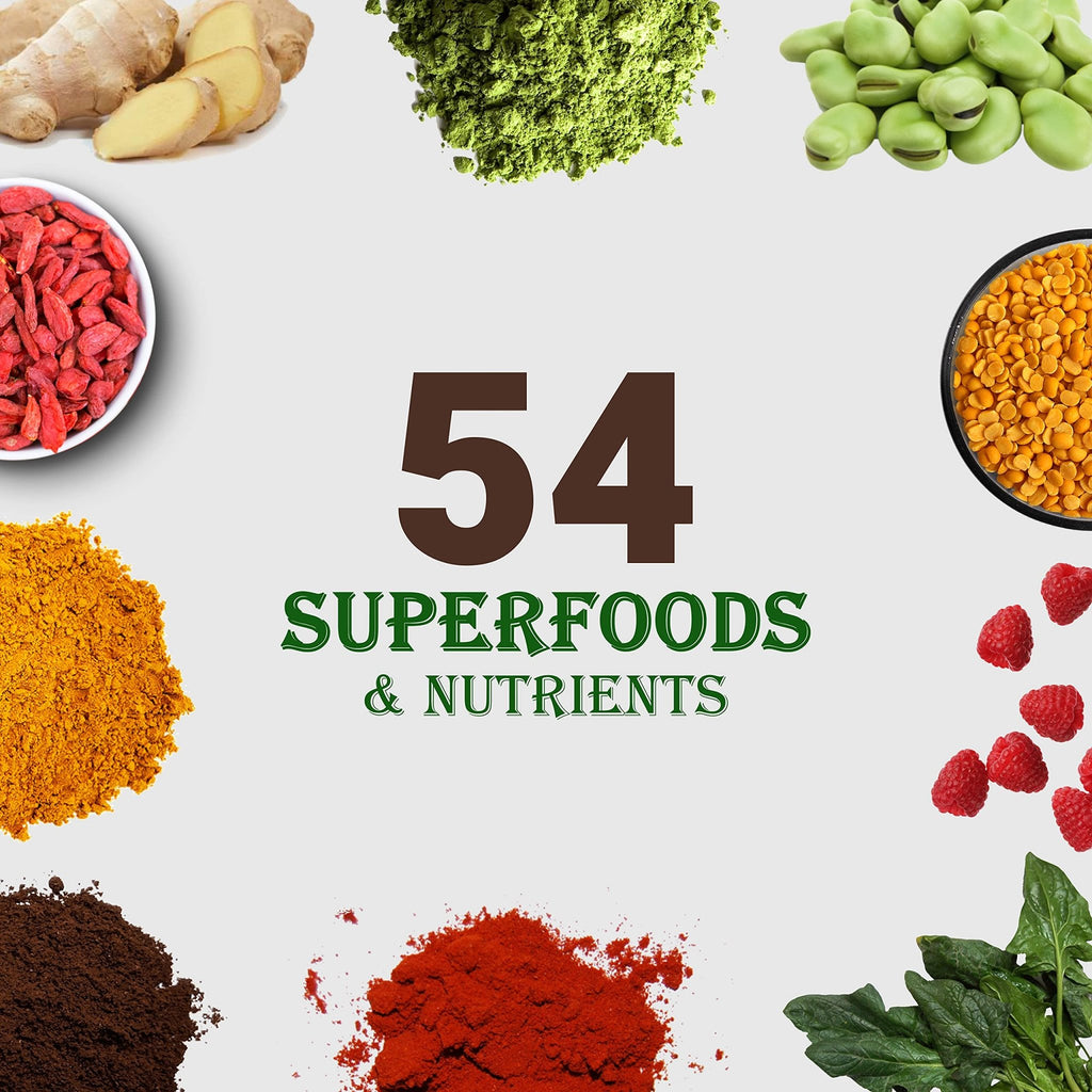 UpNourish Chocolate Vegan Protein Powder 54 Superfoods Powder,1.5 Billion CFU Probiotics 21g Plant Based Protein,No Sugar No Dairy No GMO Dairy Free,Meal Replacement Shake Keto-Friendly Low-Carb Diet,15 Servings - FENGGESTORE20