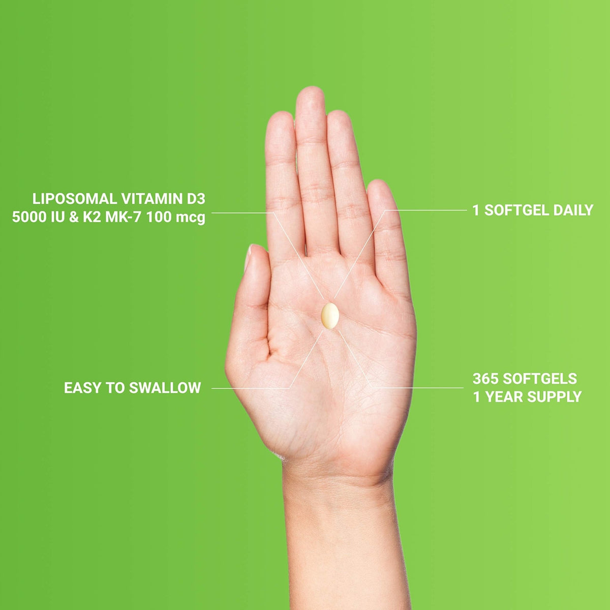 UpNourish Liposomal D3 K2 MK-7 – 365 Mini softgels with Organic Coconut Oil - 5000 IU 125 mcg Vitamin D3 and 100 mcg Vitamin k2 - FENGGESTORE20