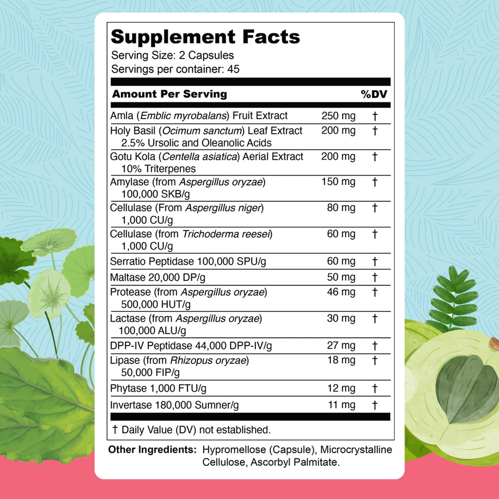 UpWellness Total Revive+ Digestive Enzymes - Broad-Spectrum Enzymes for Digestive Health - Supports Gut Health and Nutrient Absorption - FENGGESTORE20