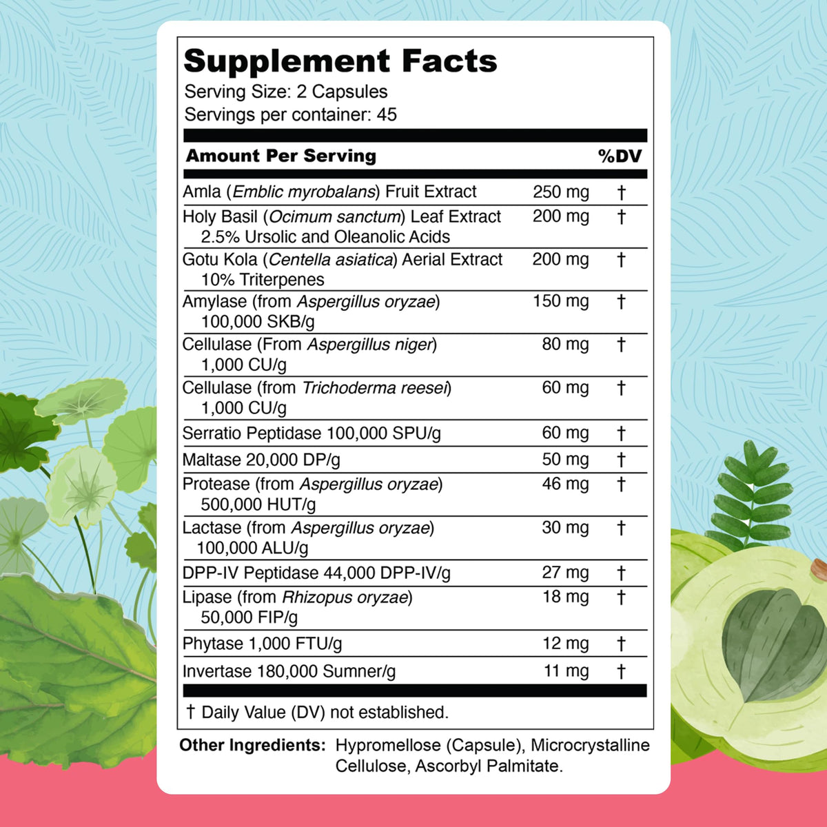 UpWellness Total Revive+ Digestive Enzymes - Broad-Spectrum Enzymes for Digestive Health - Supports Gut Health and Nutrient Absorption - FENGGESTORE20