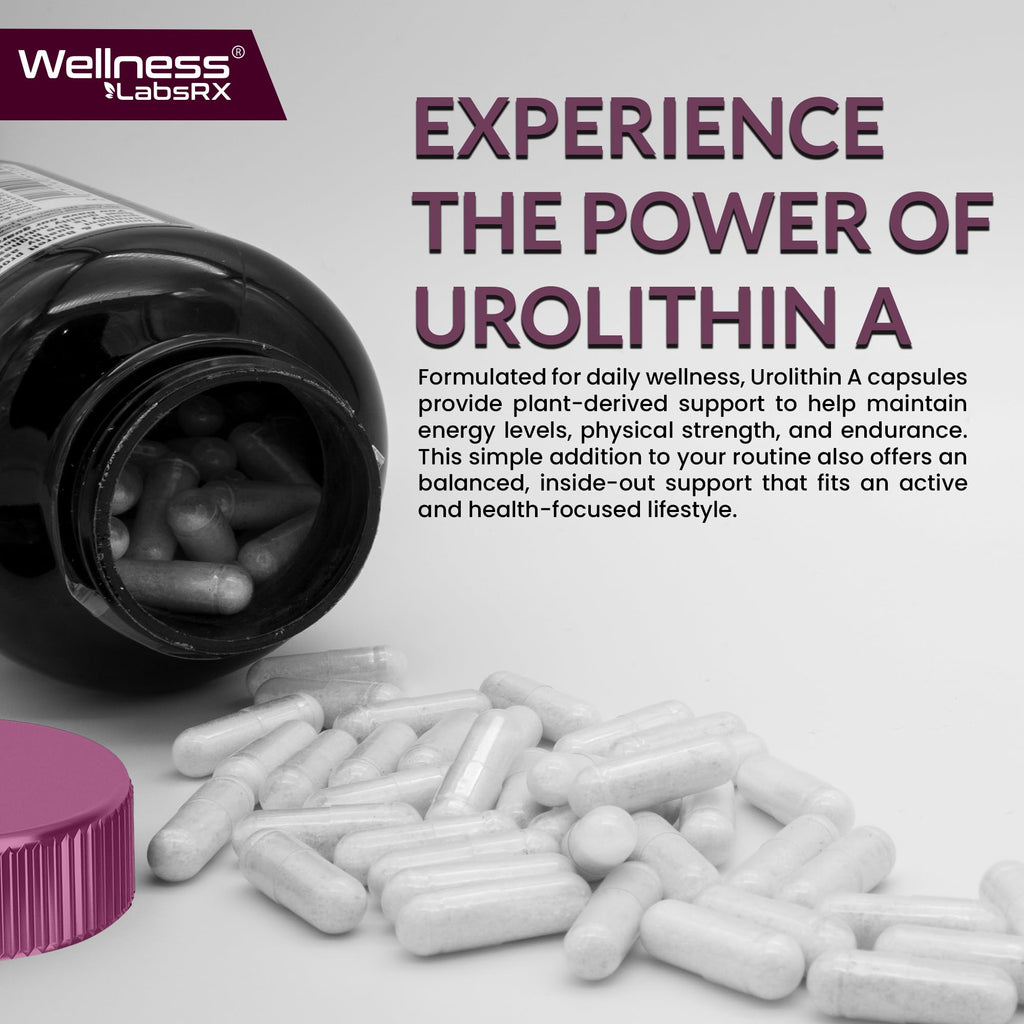Urolithin A Supplement Capsules 1,000mg (98.9% Pure) – Advanced Urolithin A+ Formula for Cellular Renewal & Mitochondrial Support - FENGGESTORE20
