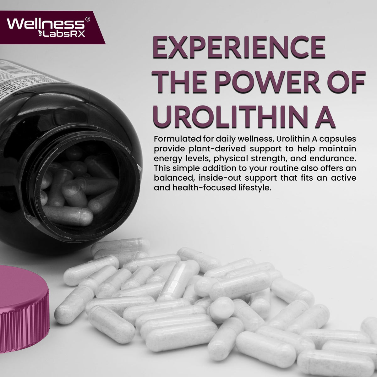 Urolithin A Supplement Capsules 1,000mg (98.9% Pure) – Advanced Urolithin A+ Formula for Cellular Renewal & Mitochondrial Support - FENGGESTORE20