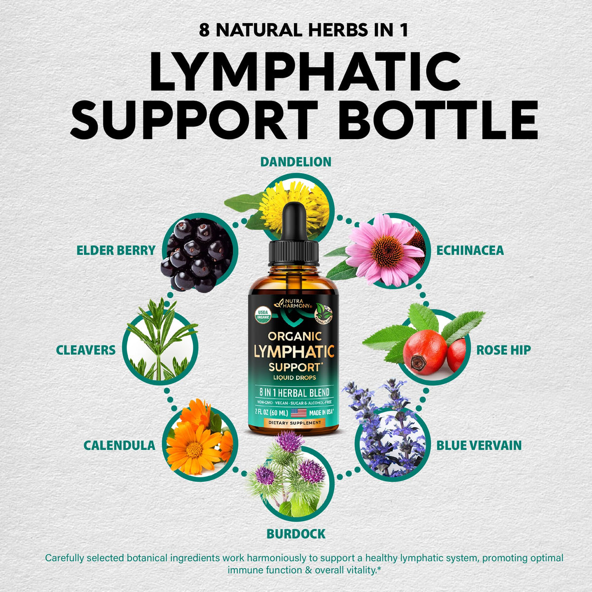 USDA Organic Lymphatic Drainage Supplement - Echinacea | Elderberry | Dandelion | Rosehip | Cleavers | Calendula | Burdock - Made in USA - Lymph System Drops - Immune Support, Cleanse & Detox, 2 fl oz - FENGGESTORE20