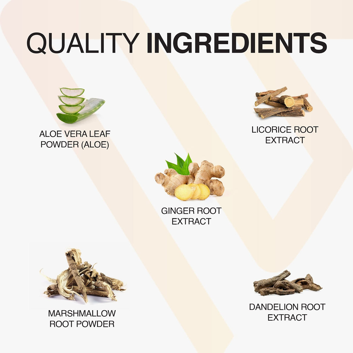 Vatellia Life New from Eaters Digest | Prebiotic | Probiotic | Digestive Support | Gut Soothing | Healthy Gut Lining | Max Nutrient Absorption - FENGGESTORE20